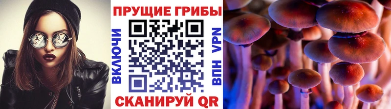 ссылка на мегу ССЫЛКА  Городовиковск  Галлюциногенные грибы ЛСД  хочу  